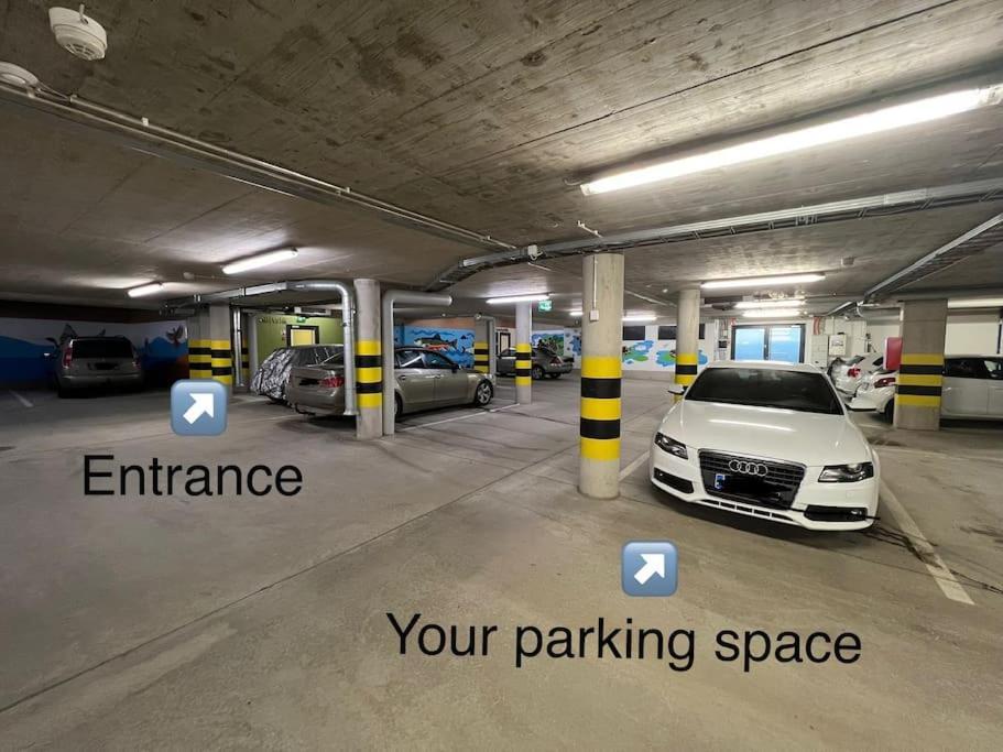Suite - King Size Bed - Gym&Wifi - Indoor Parking Рованиеми Екстериор снимка